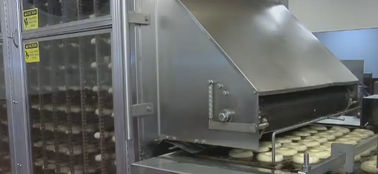 Donut Making Equipment , Industrial Donut Machine For Bread / Yeast Donut supplier